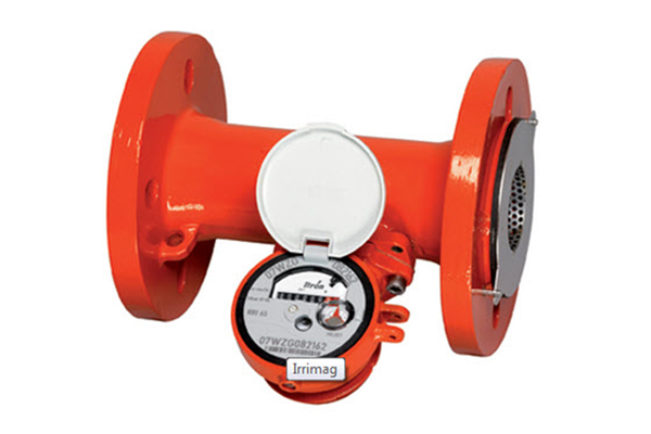 Đồng Hồ Đo Nước Thải Itron Hiệu Irrimag