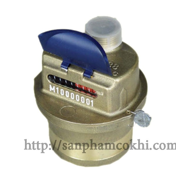 Đồng Hồ Nước Itron TD88 Dn15